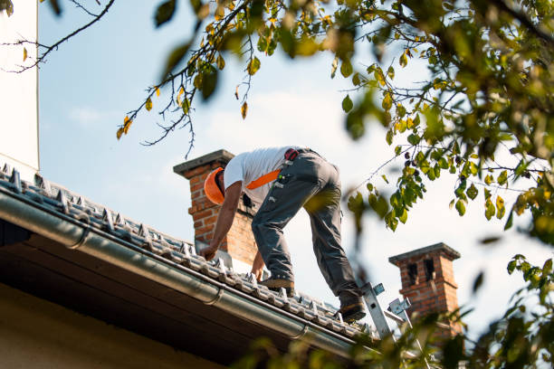 Best Commercial Roof Installation  in Nettleton, MS