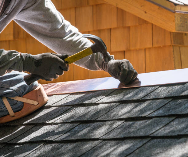 Best Metal Roofing Contractor  in Nettleton, MS